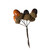 Lifesize Brown Artificial Acorns Lifesize Brown Artificial Acorns