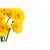 Florist Gift Cards Yellow Gerbera 9cm x 6cm Pack of 50