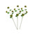 Artificial Fireball Lily or Scadoxus Green
