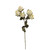 Dry Look Faux Silk Rustic Rose Ivory