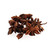 Dried Star Anise