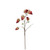Artificial Chinese Lantern Flower Spray