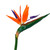 Artificial Bird of Paradise or Strelitzia Flower detail