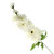 Faux Silk White Delphinium Stem