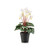 Faux Silk Artificial Dutch Cyclamen Flower Bush Green White