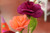 WEROLA® Florist Crepe Paper flowers