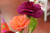 WEROLA® Florist Crepe Paper flowers