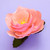 Werola Doublette Crepe Paper flowers
