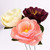 Werola Doublette Crepe Paper flowers