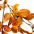 Autumn Faux Silk Beech Leaf Foliage Spray detail