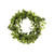 Ivy Wreath Artificial Outdoor 50cm/20 Inches