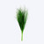 Bear Grass Bush 60cm