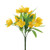 Crocus Bunch Yellow 23cm