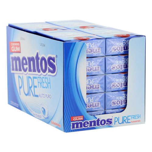 Mentos 45min 20gx20 Peppermint