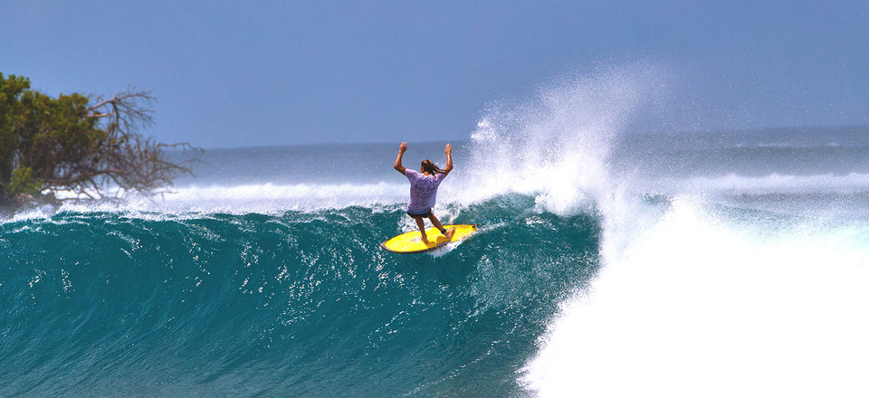 asher-bg-3.jpg?t=1673411606