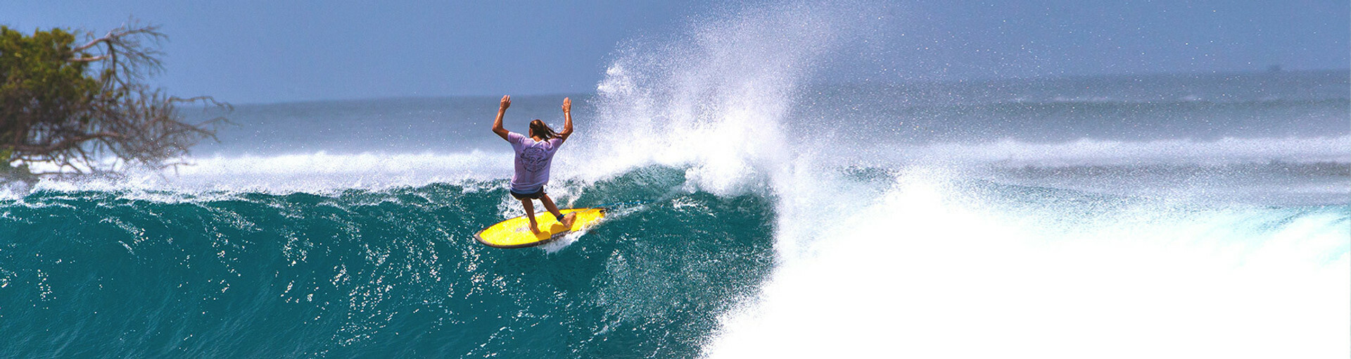 Twin Fin