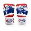 Fairtex Thai Pride BGV1 Muay Thai Boxing Glove