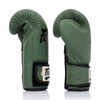 Fairtex BGV11 F Day Muay Thai Boxing Glove