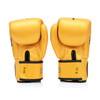 Fairtex Falcon BGV1 Muay Thai Boxing Glove