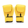 Fairtex BGV1 Muay Thai Boxing Glove - Solid Colors