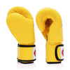 Fairtex BGV1 Muay Thai Boxing Glove - Solid Colors