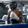 Pro Boxing Headgear - 6