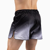 Men’s Apex Nova Mid-Thigh Fight Shorts - Cosmic Grey - 2