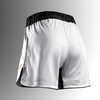 Men’s Apex Vantage Full-Length Fight Shorts - Ash White - 2