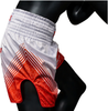 Fairtex Muay Thai Boxing Shorts "Fairtex x RWS"