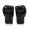 Fairtex Breathable Gloves BGV1BR Muay Thai Compact Lightweight
