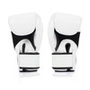 Fairtex Breathable Gloves BGV1BR Muay Thai Compact Lightweight