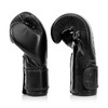 Fairtex BGV14SB Solid Black Muay Thai Boxing Glove