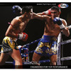 Fairtex BGL6 Pro Leather Laced Competition Gloves - Locked Thumb for Muay Thai and Boxing