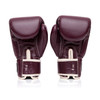 Fairtex BGV16 Leather Muay Thai Boxing Gloves