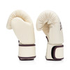Fairtex BGV16 Leather Muay Thai Boxing Gloves