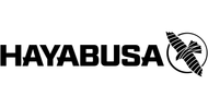 Hayabusa