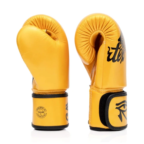Fairtex Falcon BGV1 Muay Thai Boxing Glove