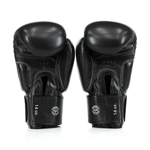 Fairtex BGV27 Amateur Boxing Gloves
