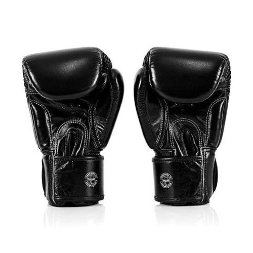 Fairtex BGV1 ONE Muay Thai Boxing Sparring Gloves