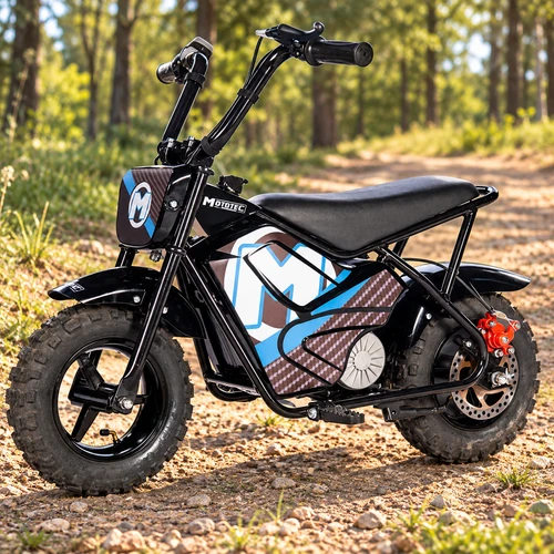 24V 250w Electric Mini Bike- Black