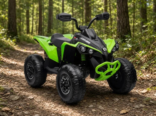 24V Can-Am Renegade 4WD Quad-Green