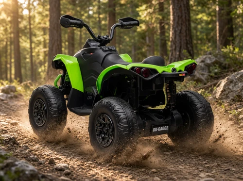 24V Can-Am Renegade 4WD Quad-Green