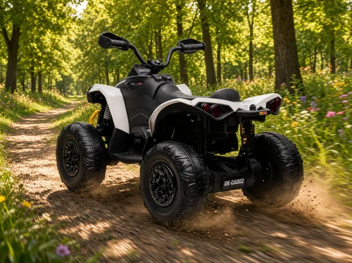 24V Can-Am Renegade 4WD Quad-White