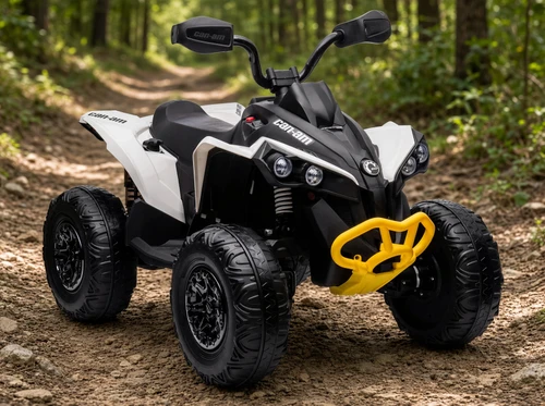 24V Can-Am Renegade 4WD Quad-White