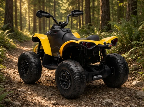 24V Can-Am Renegade 4WD Quad-Yellow