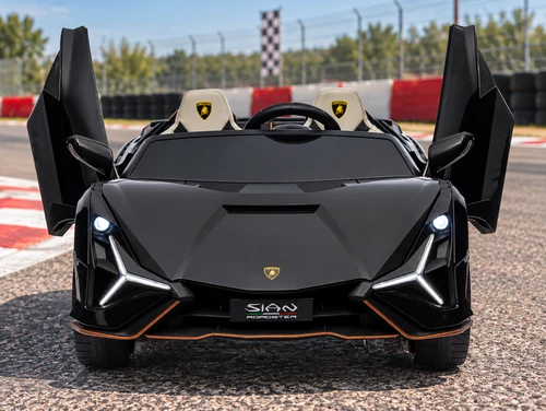 24V Lamborghini Sian Kids Ride-On Car w/Remote-Black