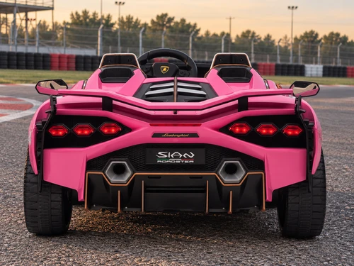 24V Lamborghini Sian Kids Ride-On Car w/Remote-Pink