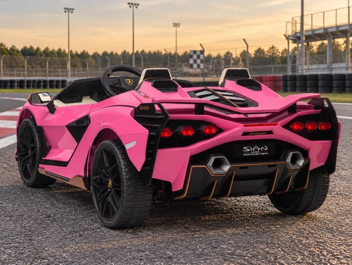 24V Lamborghini Sian Kids Ride-On Car w/Remote-Pink