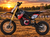 36V Pro Electric Dirt Bike Red