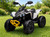 24V Can-Am Renegade 4WD Quad-White